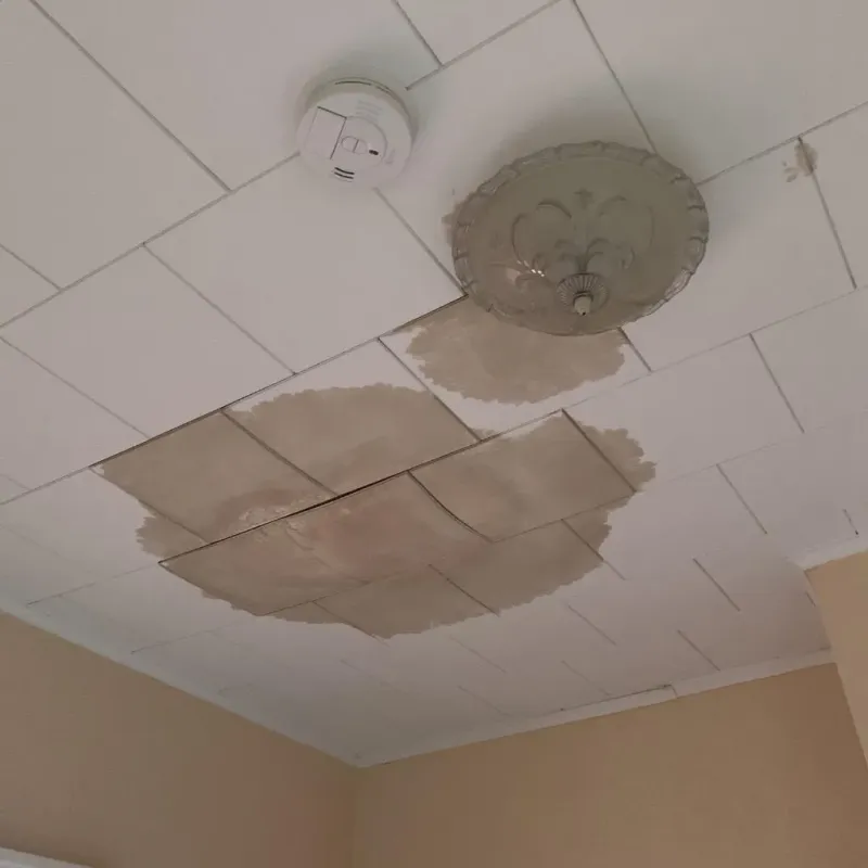 Ceiling Water Damage Repair in River Heights, UT