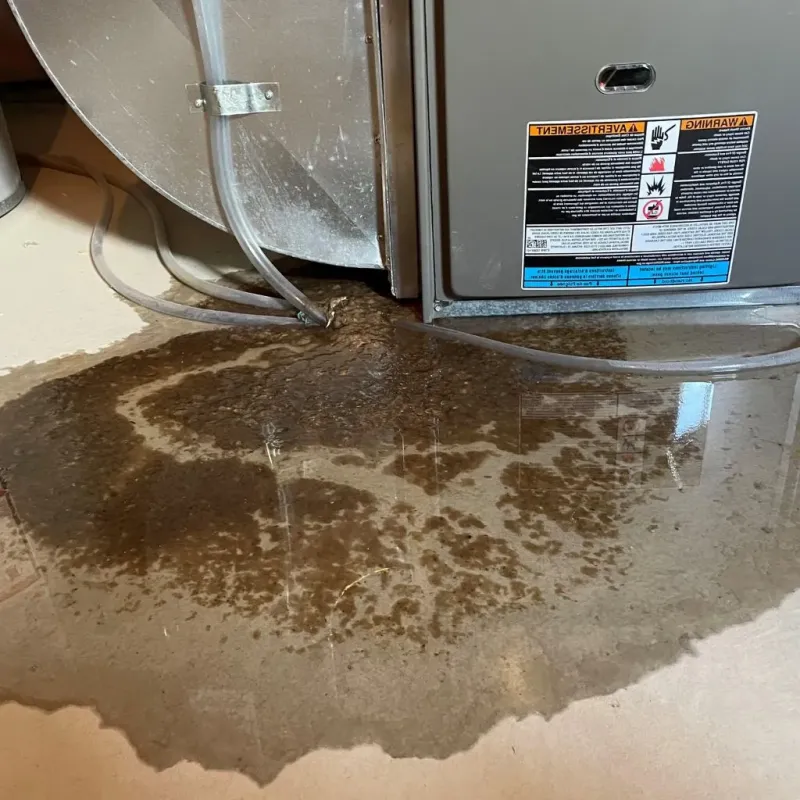 Pipe Burst and Leak Restoration in River Heights, UT